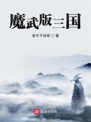 魔武版三国